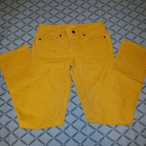 Ann Taylor LOFT pant's